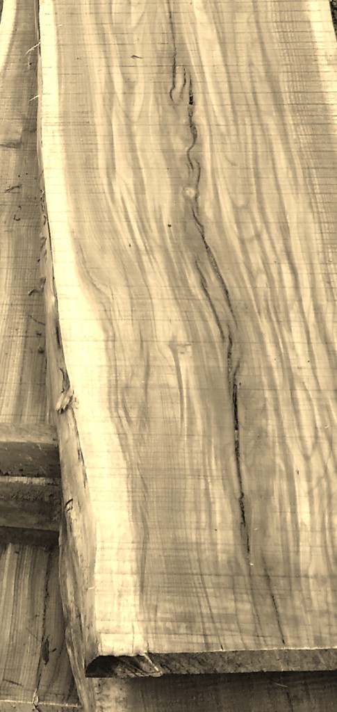 Hintergrundbild Sepia